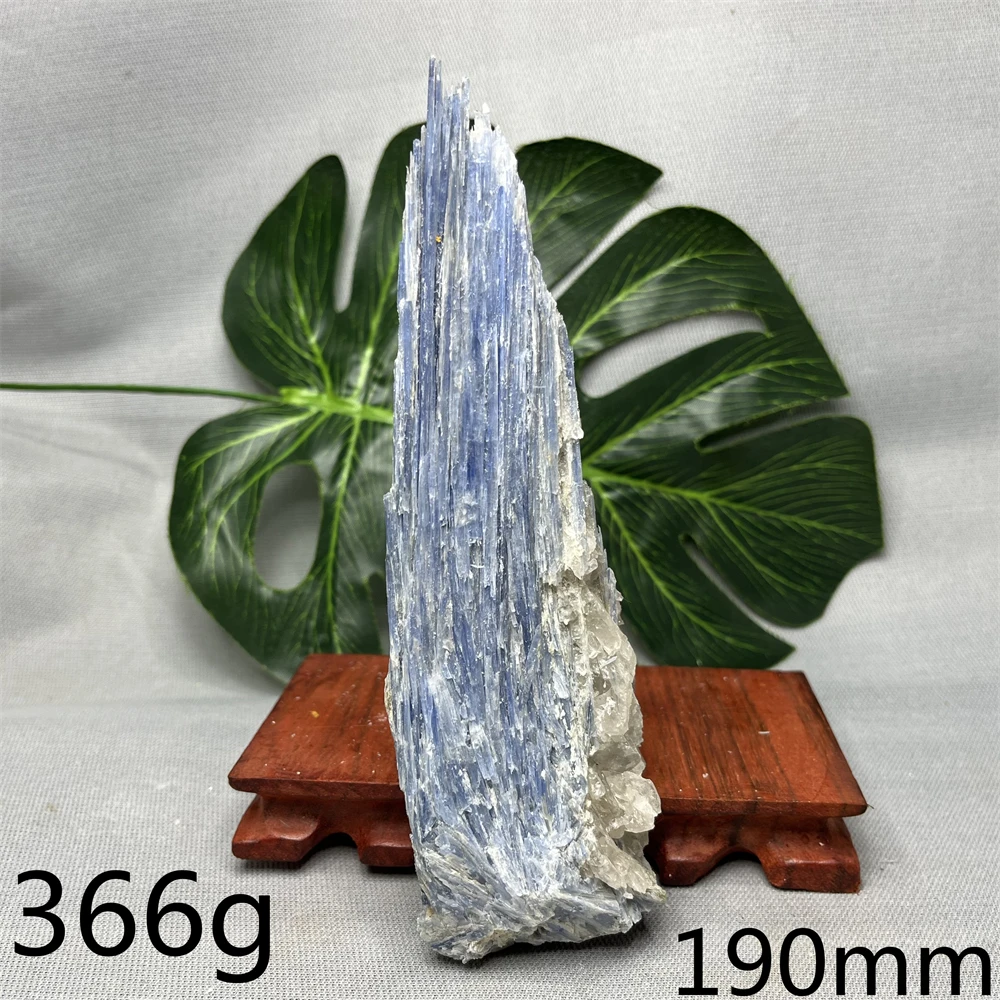 Natural Rock Kyanite Original Mineral Specimen Super Energy Home Room Decoration Witchcraft altar Prayer Spiritual Stone Healing