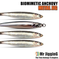 2025 New 3D Biomimetic Anchovy Metal Jigs 30g-120g Spanish Mackerel Katsuo Lure Hairtail Sea Fishing Spoon Speed Jigging Bait