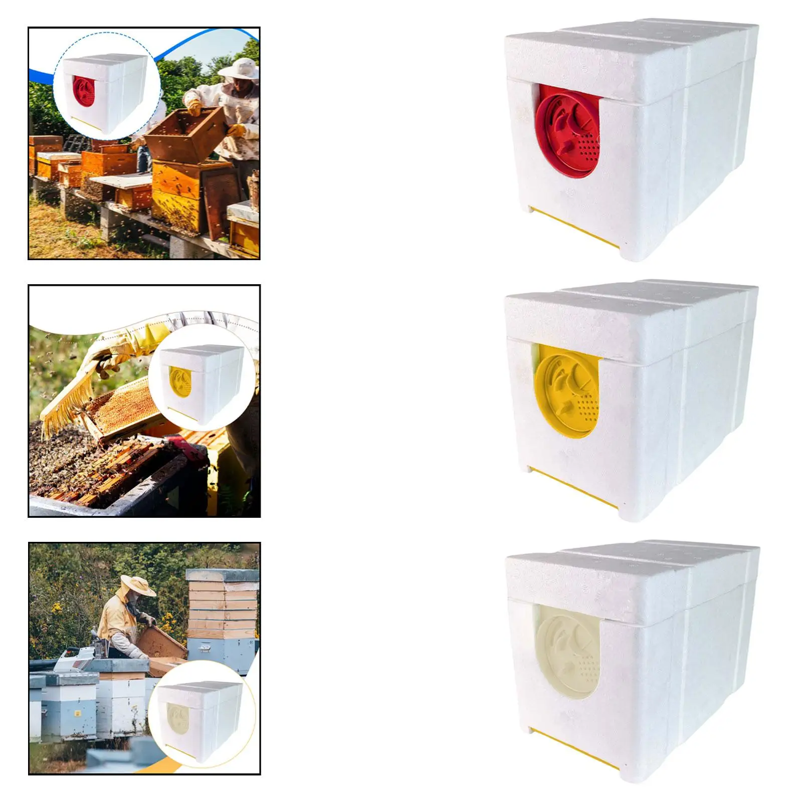 Bee Breeding Box with Thermal Insulation Mini Queen Mating Hive Portable Beekeeping Tool for Advanced Bee Hive Setup