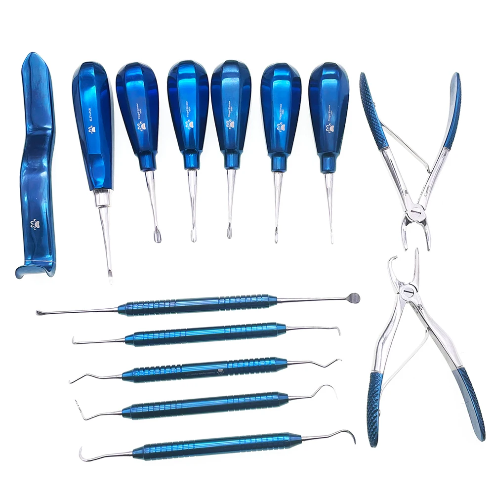 

Dog Initial Dental Equipment Set Oral Examination Tooth Cleaning And Extraction Retractor Probe Measurement Surgery Lithotripsy