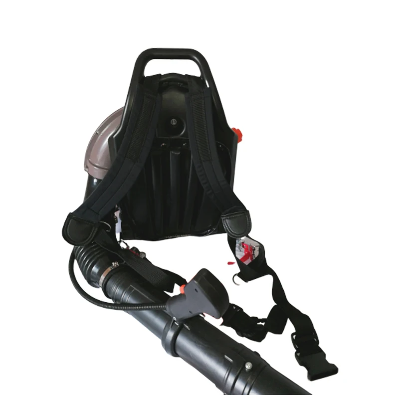 EB650E-A Professional Gas Snow Blower 2.7kW Powerful Backpack Wind Sweeper Back Pack Leaf Blower With CE/CPA/EURO V