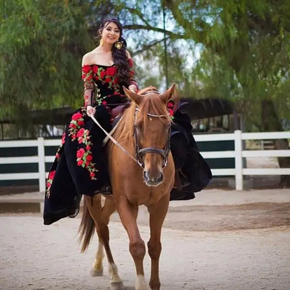 Vestido princesa Quinceanera, vestido de baile mexicano Cinderela, bordado floral rosa, manga comprida, 16 vestidos doces, 15 anos