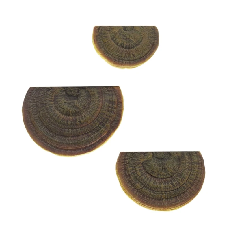 

Set of 3 Mushroom Storage Rack Mushroom Wall Floating Shelf for Home Decors Drop shipping