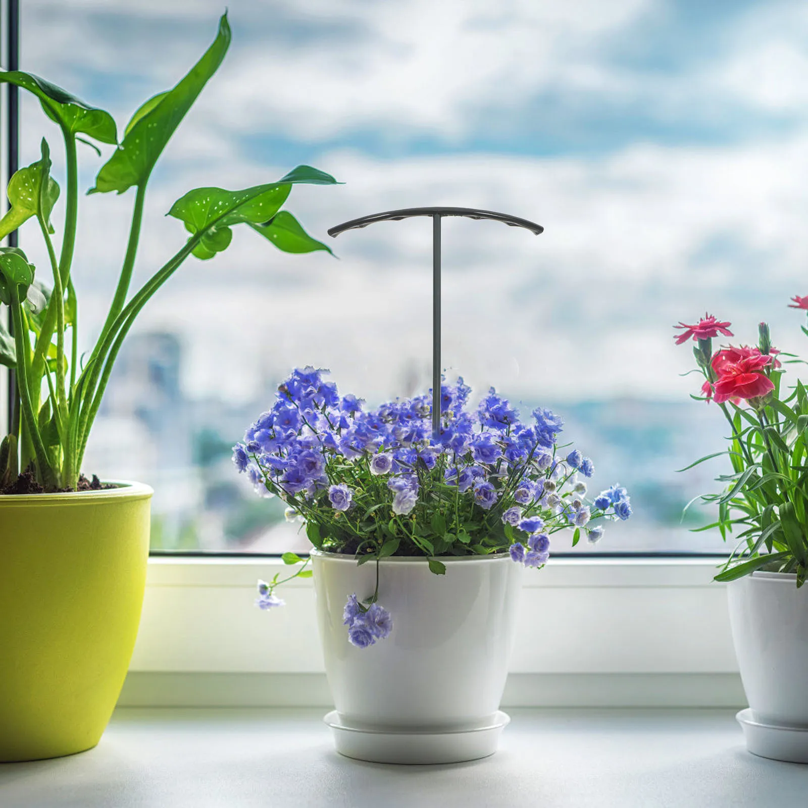 

1 Set Plant Support Stakes Plastic Ring Garden Frame For Tomato Peony Flower Indoor Outdoor Climbing Plants Half Round Trellis