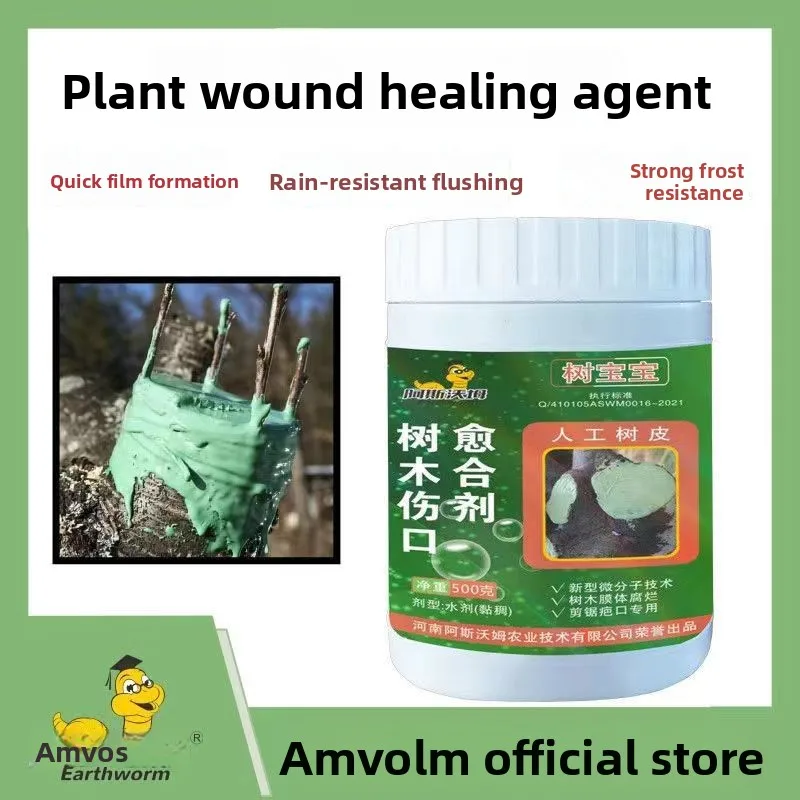 500 جرام من شتلات شجاع الجروح من شجرة Aswol، طبقة مانعة للتسرب، شتلات المطر والشمس، بونساي للزواج وتقليم النباح الاصطناعي