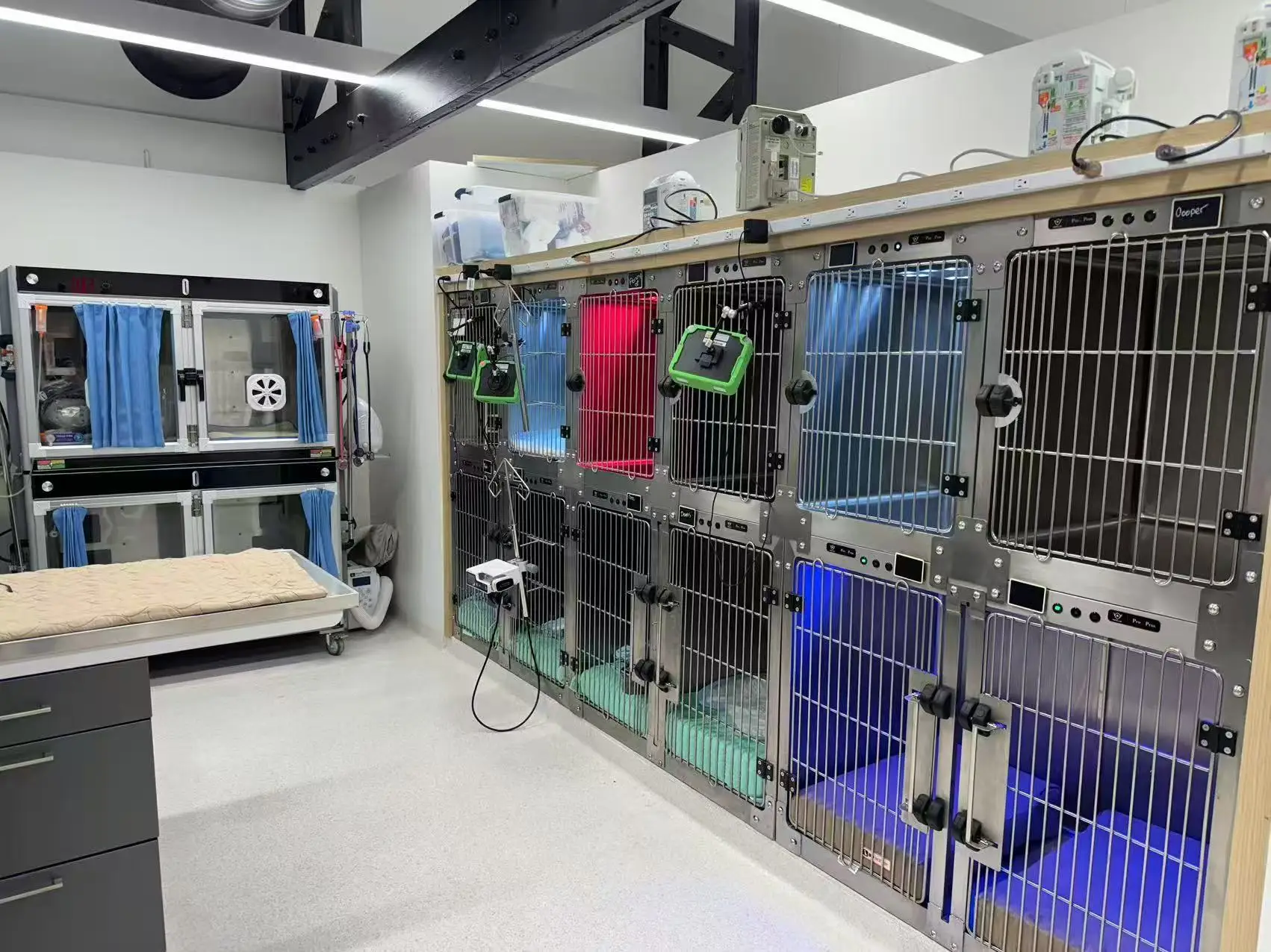 High Quality Pet Cl… - image