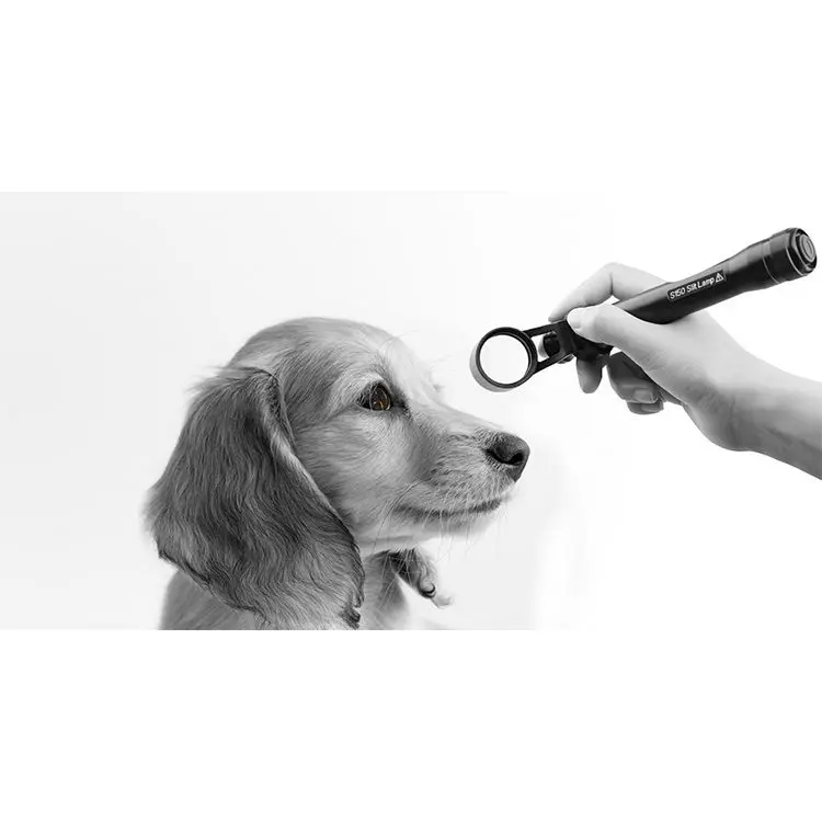 

SY-VS150 Ophthalmic Equipment Optical Instruments Portable Veterinary Handheld Digital Slit Lamp for Animal Use