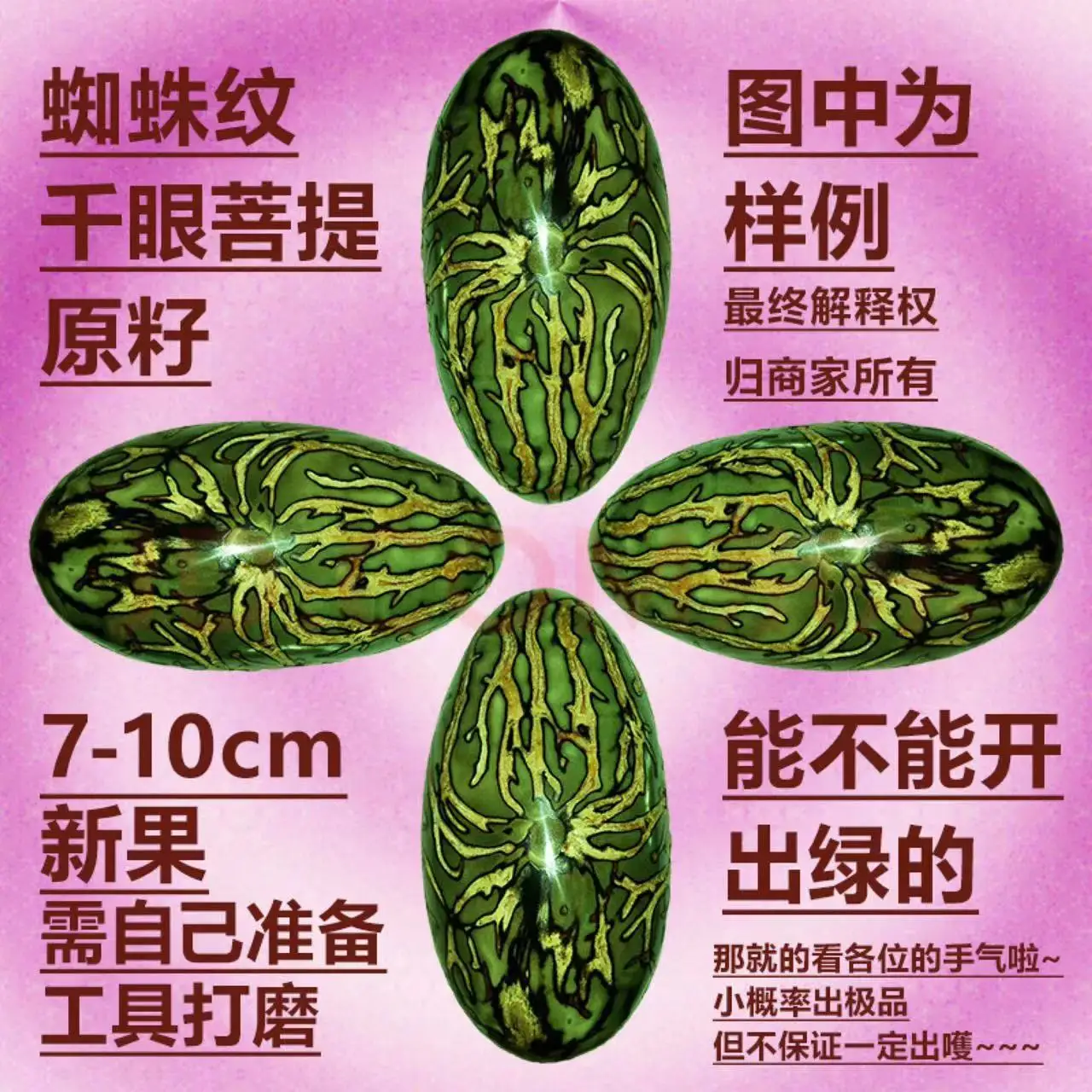 

Fruit Qianyan Bodhi Seed Raw Material Natural Green White Old Bracelet Hand Handle Piece Bodhi Root
