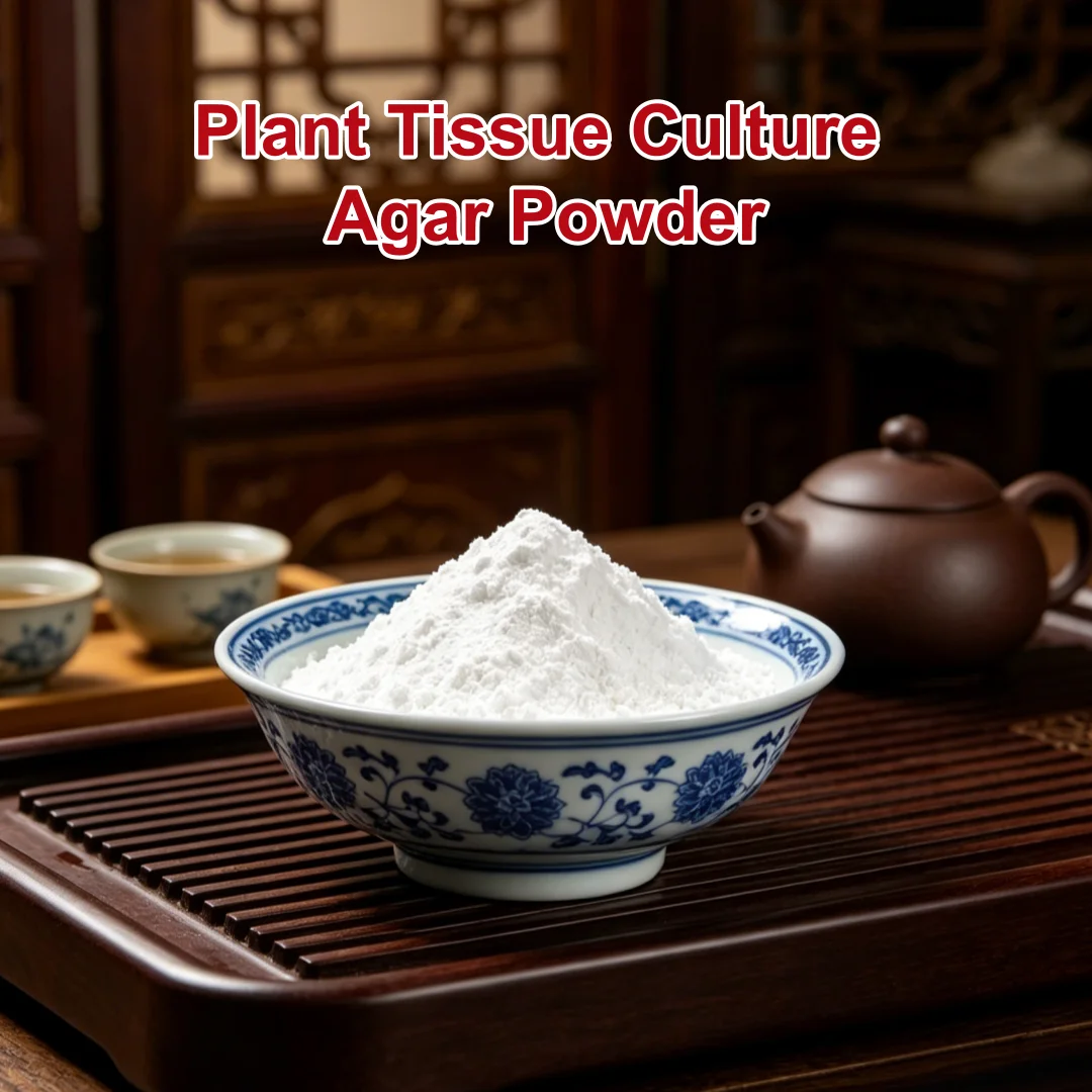 Tissue Culture Agar For Micropropagation- Plant Tissue Culture Agar Powder
