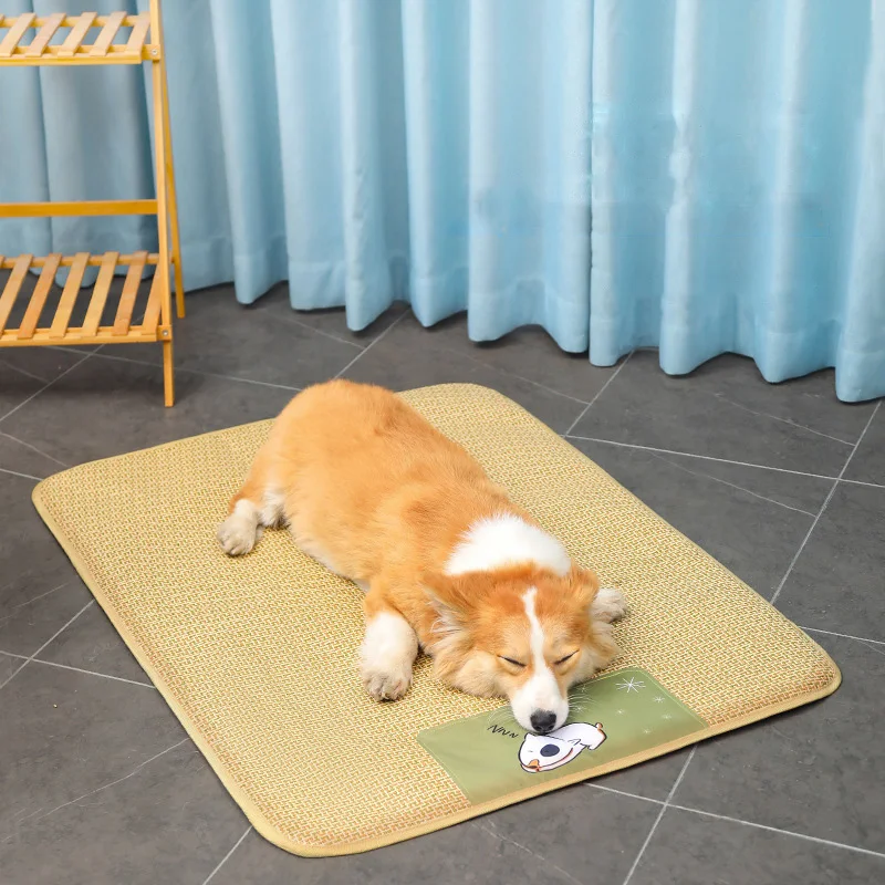 Mat Pet Cool Mat Wor-resistant Cool Seat Rug 45x60cm Bed Mat Pet Summer Dog Mat