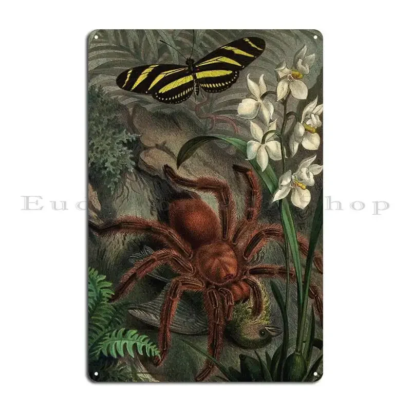 Vintage Tarantula Artwork Large Spider Eating Bird Tarantula Painting Goliath Birdeater Metal Sign Personalized Wall Mural