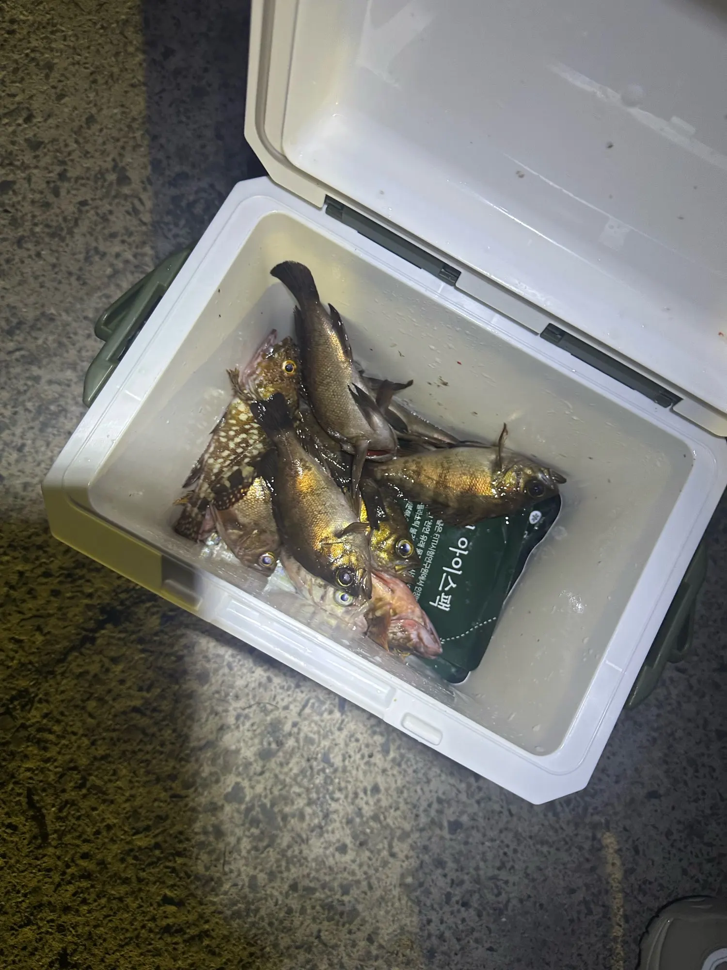 구매후기