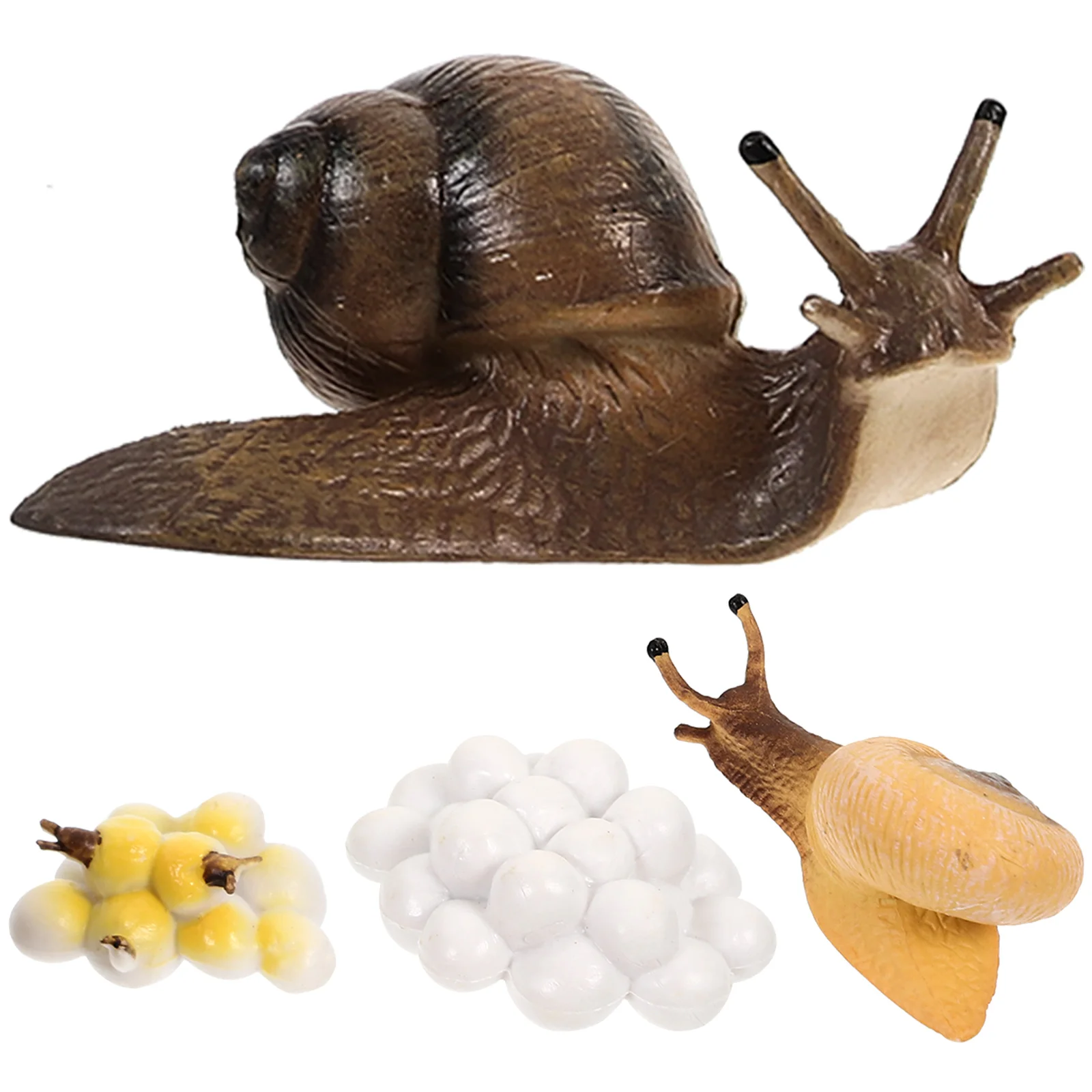 

Life Cycle of Snail Figurines Animal Growth Toys for Kids Figures Decorate Toddlers Model Imitation