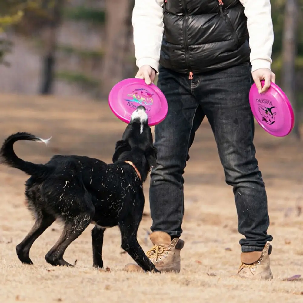 Moda 24cm dischi volanti per animali domestici resistente al morso cane luminoso tipo di lancio giocattolo morbido giocattolo galleggiante per cani