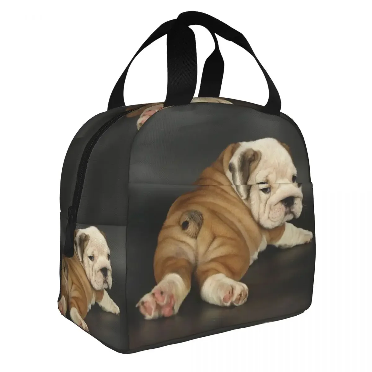 Cute English Bulldog Lunch Bag Portable Insulated Thermal Cooler British Dog Lunch Tote for Women Children School Food Bento Box