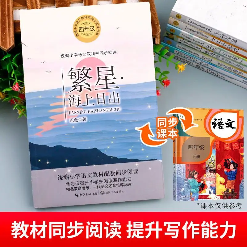 Libri di lettura extracurriculari di quarta elementare, lettura classica, oche bianche, gatti e galline, stelle, alba sul mare