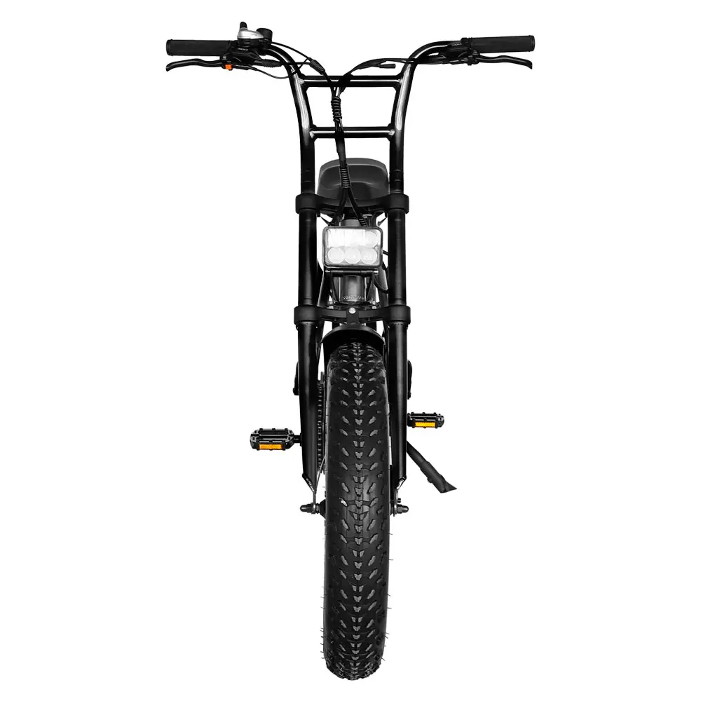 

48V10ah 20-inch wide tire 250W electric bicycle