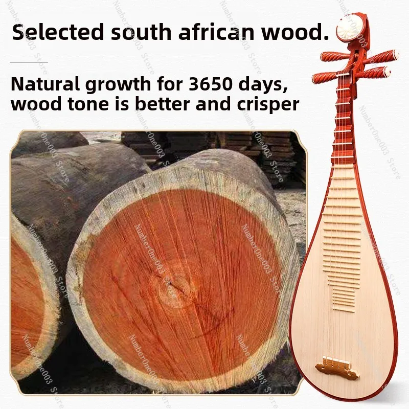 Special for pipa musical instruments, beginners, entry-level rosewood, adults playing mahogany pipa