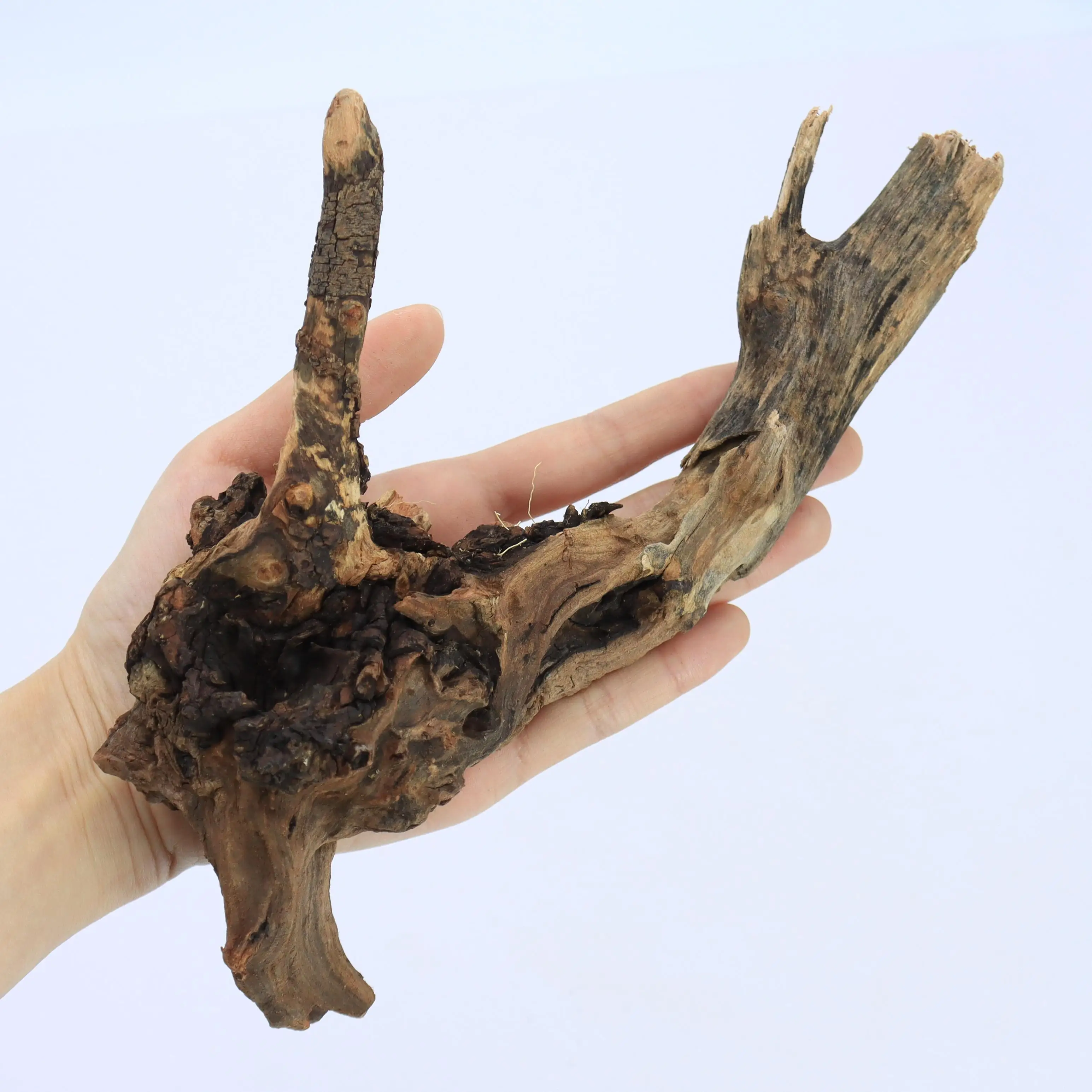 1pc Small Natural Driftwood fo - Aquarium Plant Root Tabs recension och pris