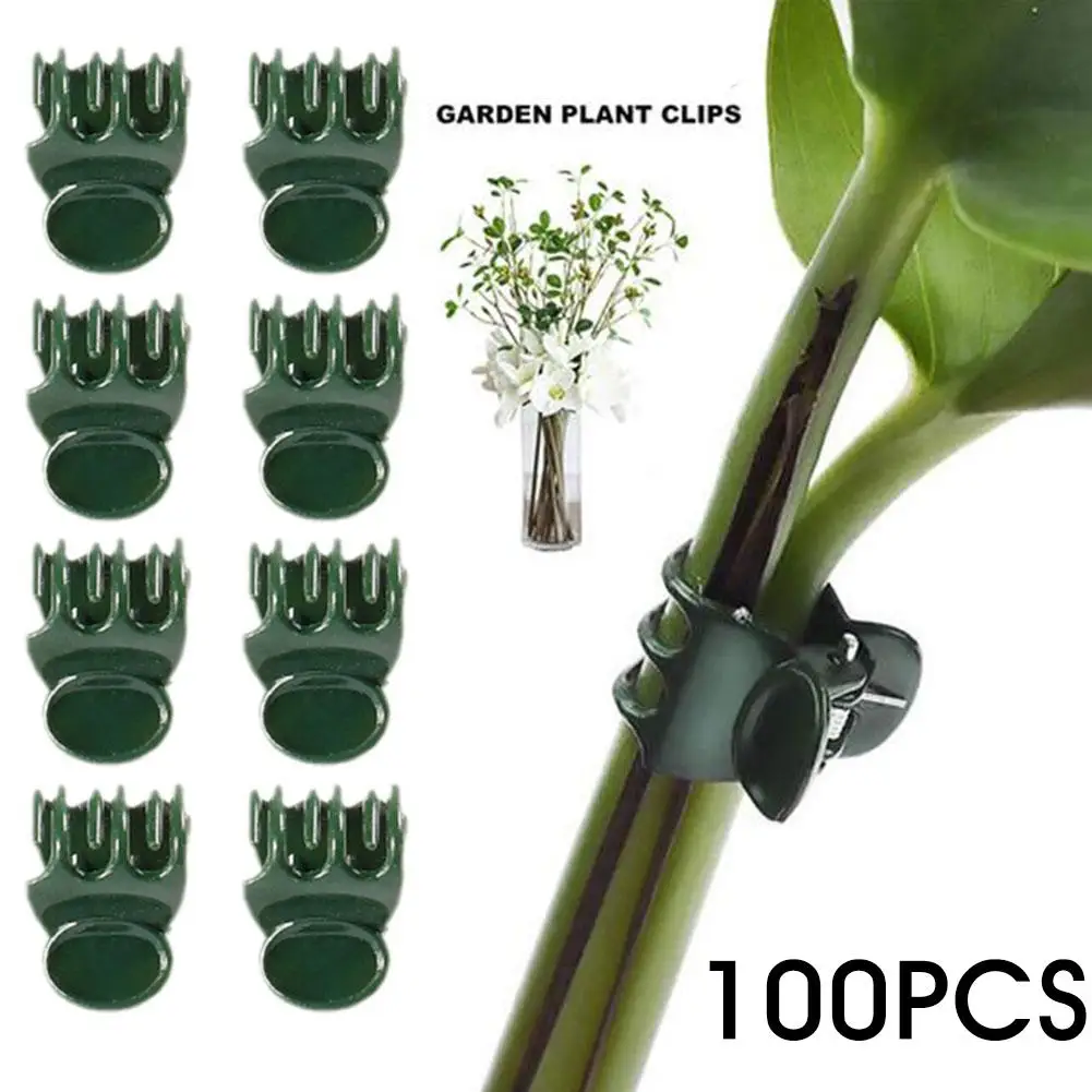 Plant Climbing Wall Butterfly Clips Vine Buckle Hook Upright Clamp Garden Grow Plant Clamping Branch Clips Flower Support R M4W6