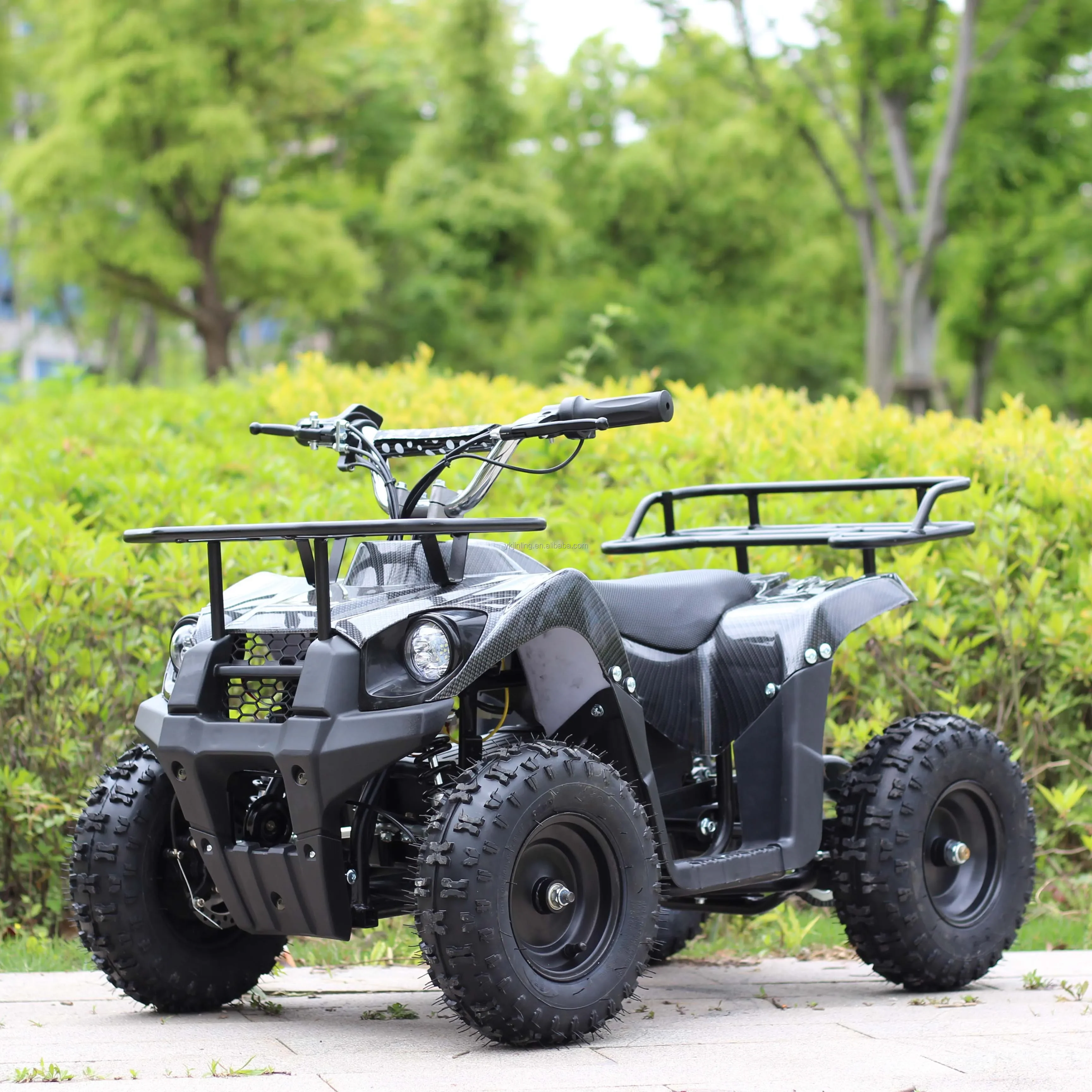 800w 1500W Lead Acid Four Wheeler Electric Drive ATV Reverse System Quad E-Atv