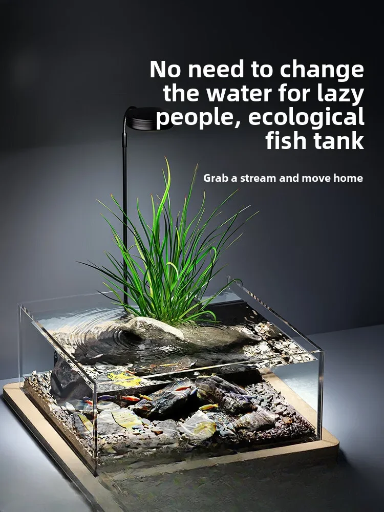 

MJY small fish tank living room glass ecological native stream tank landscaping full set