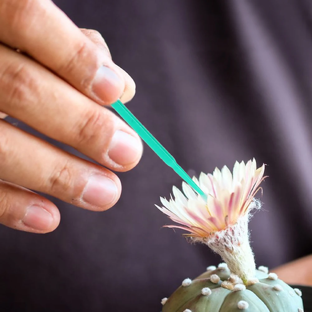 

300Pcs Portable Pollination Pen Plastic Plant Pollinator Tool for Tomato Fruit Vegetable Gardening Accessories