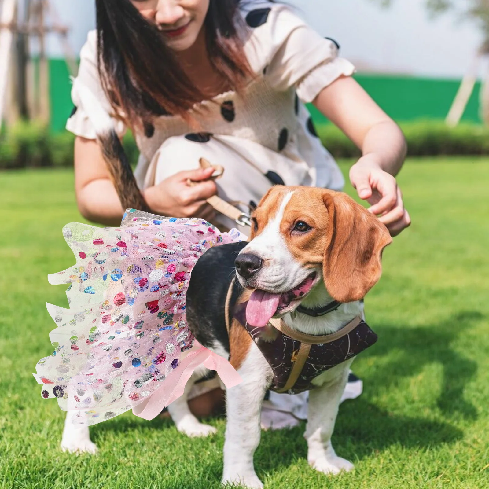 

Princess Dog Costume Elegant Lace Dress Breathable Mesh Material Adjustable Fit Birthday Wedding Outfit Pet Skirt Small Dog