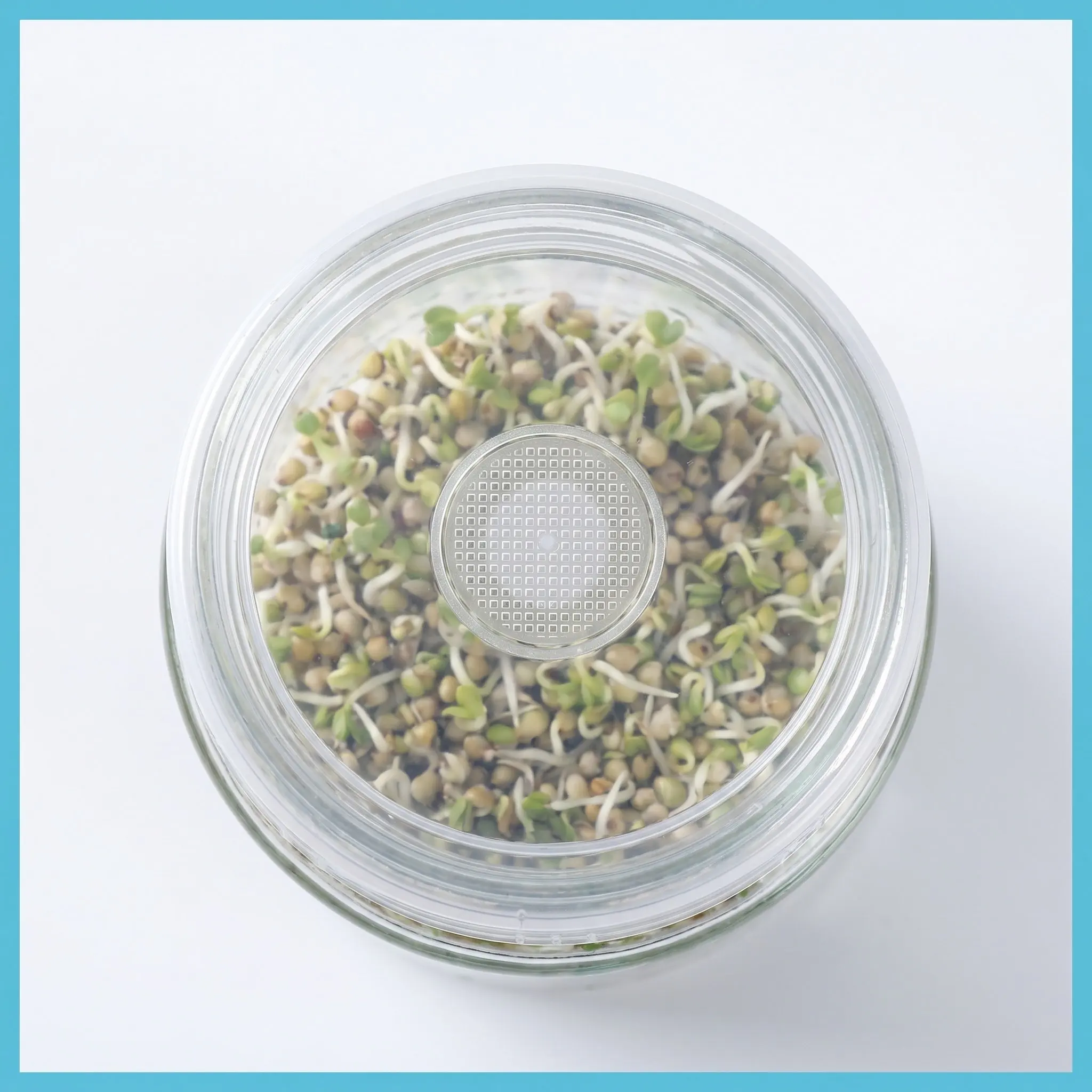 28Pcs Mason Jar Sprouting Lids 70Mm Round Plastic Vent Covers Sprout Lids for Seed Germination Alfalfa Bean Growing Mason Jar