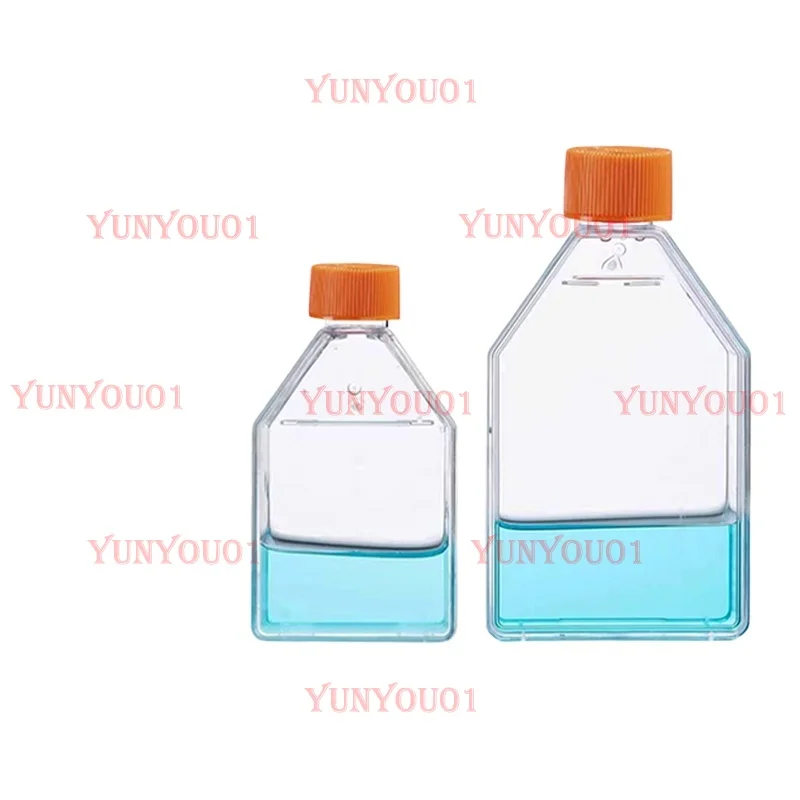 

Culture Flask T25 Sterile T75 Sealed Cap/breathable Cap Rectangular Torticollis Cell Culture Flask