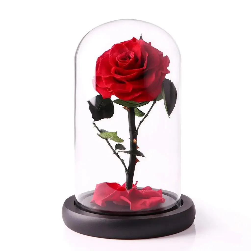 

1Pc Natural Eternal Rose In Glass Dome , Preserved Rose For Valentine's Day ,Gift to girlfriend,Home/ wedding Christmas Decor