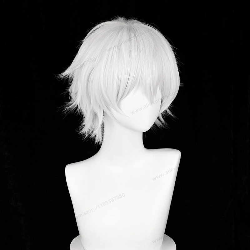 Kaneki Ken Cosplay Perücke 30cm kurze silberweiße Mann Haar Anime hitze beständige synthetische Perücken