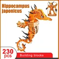 Hippocampus