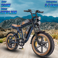 Hillmiles MileZoom 1 City Ebike Powerful 750W Motor 52V31.2Ah Battery Electric Bicycle Max Speed 45Km/h AllTerrain Electric bike