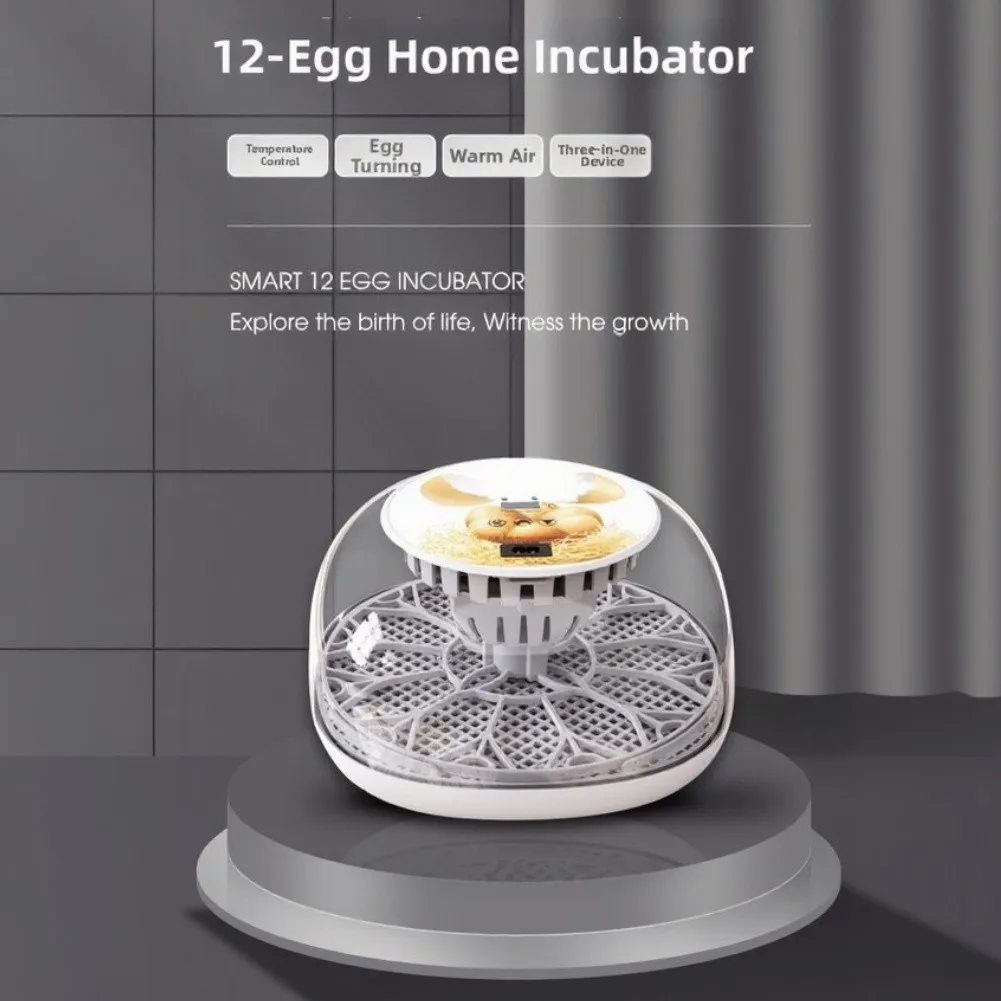 US Standard 12-Egg Automatic Incubator for Classroom Science Projects and Home Hatching Experiments with Turbo Fan