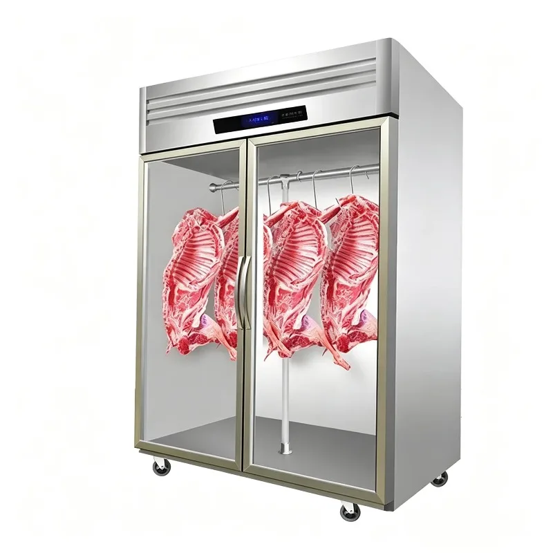 

Stainless Steel Vertical Commercial Display Refrigerator with Double Glass Doors for Restaurant Meat Storage