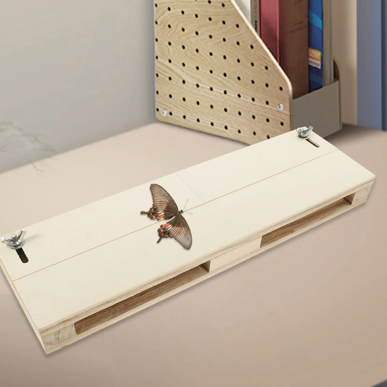 Adjustable Butterfly Wing Spreading Board Durable Insect Specimen Pinning Tool for Science Experiment and Specimen Display view 3