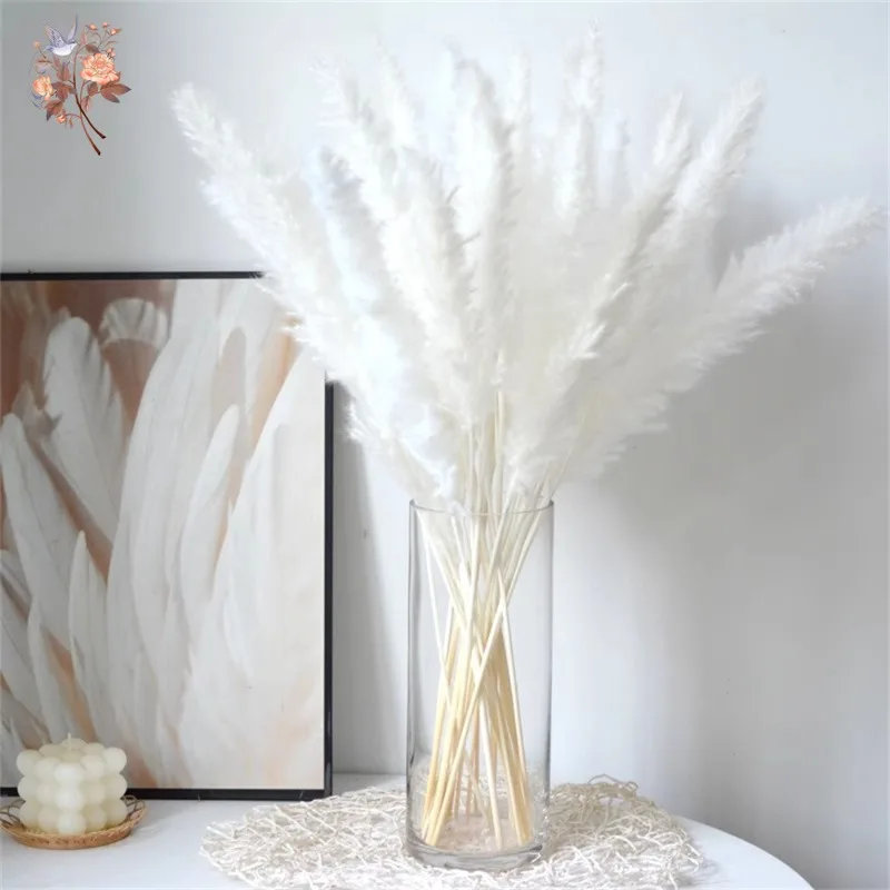 Natural Dried Pampas Grass Decor Real Fluffy Reed Phragmites Bouquet For Home Artificial Flower Wedding Garden Party Decoration