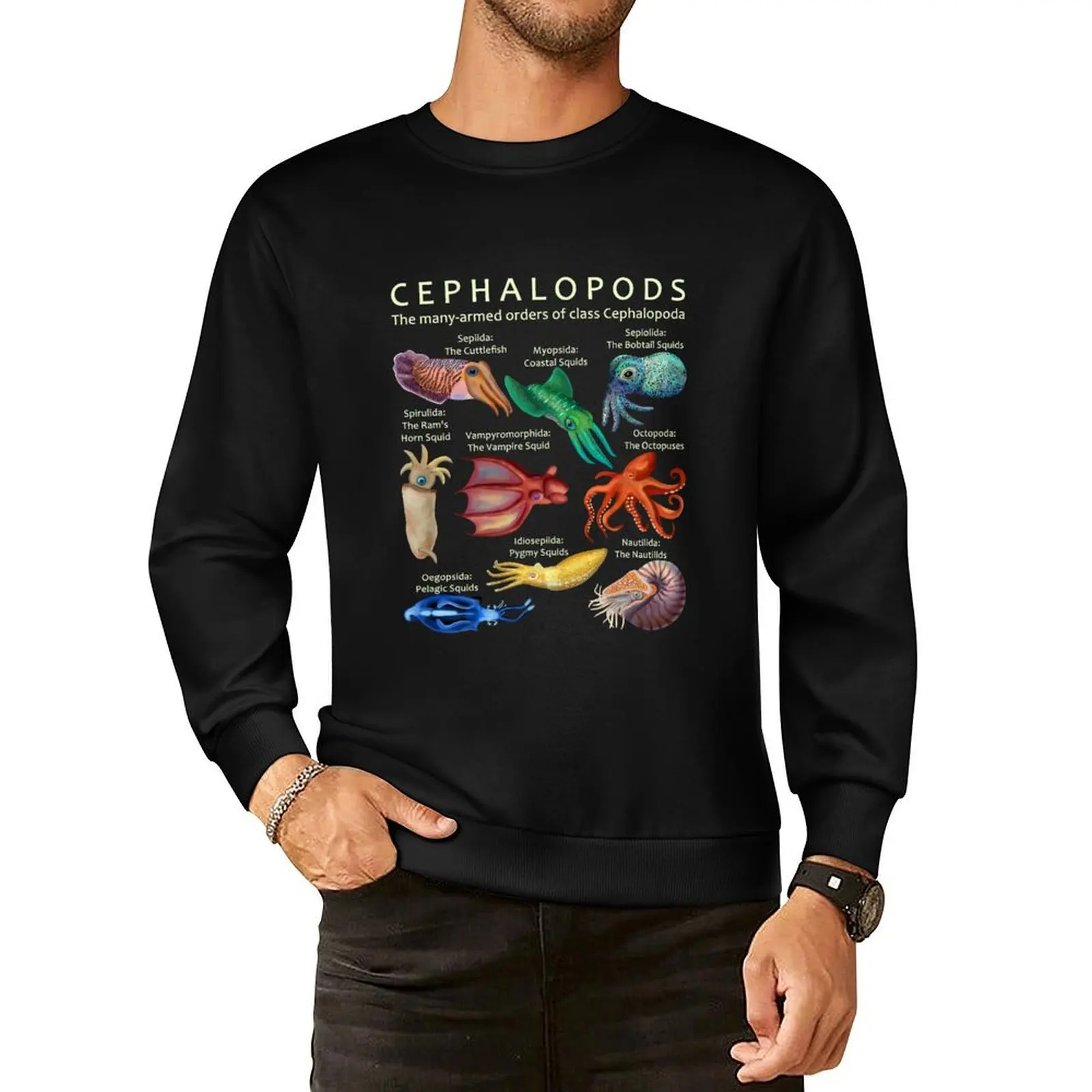 

The Cephalopod: Octopus, Squid, Nautilus, and Cuttlefish Pullover Hoodie autumn male clothes sweatshirts