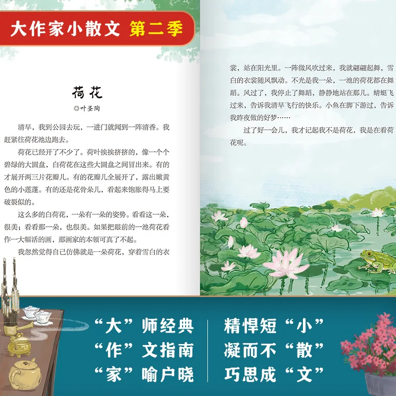 Exquisite Essays Written By Great Writers for Children, Extracurricular Reading Books for Elementary School Students