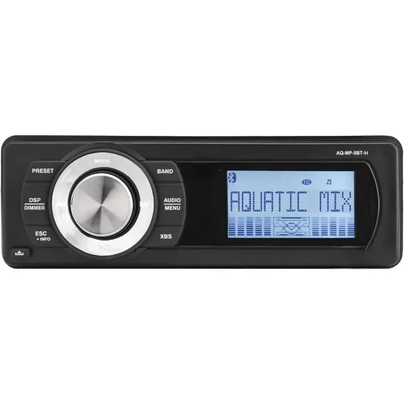 MP5 Replacement Radio (1998-2013 Touring Models)