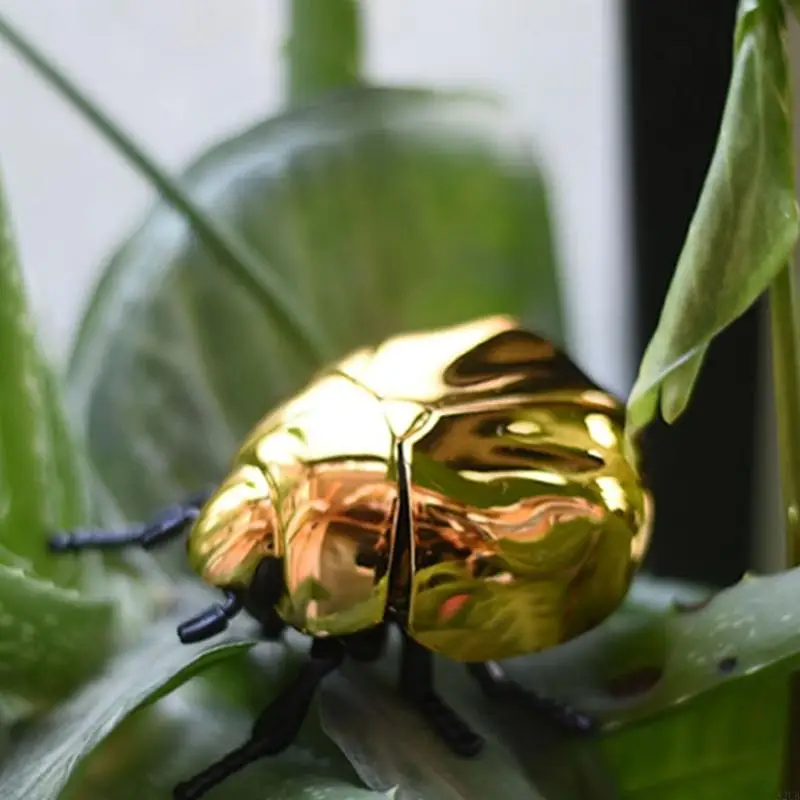 ウィンドゥップスカラブおもちゃシミュレーション昆虫の子供安全性腹筋茎学習ツール屋内屋外プレイストレスリリーフバースデーギフトa2ub