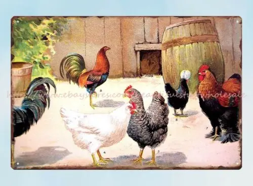 outdoor home decor online country farm chicken hens metal tin sign