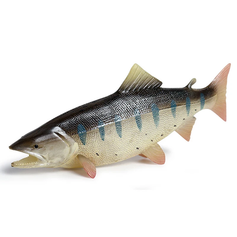 New Ocean Sea Life Simulation Animal Model Diver Flounder Tuna Grouper Tropical Fish PVC Action Toy Figures Kids collection Toys