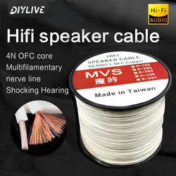 DIYLIVE HiFi linia głośnikowa kino domowe wzmacniacz mocy linia głośnikowa renowacja samochodu wbudowany kabel audio HIFI surround