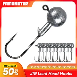 Famonster Jighead Lead Head Hook 1g2g5g7g10g14g25g28g Fishing Lure Ball Worm Fishhook Hard Soft Bass Swimbait Pike Winter Bait