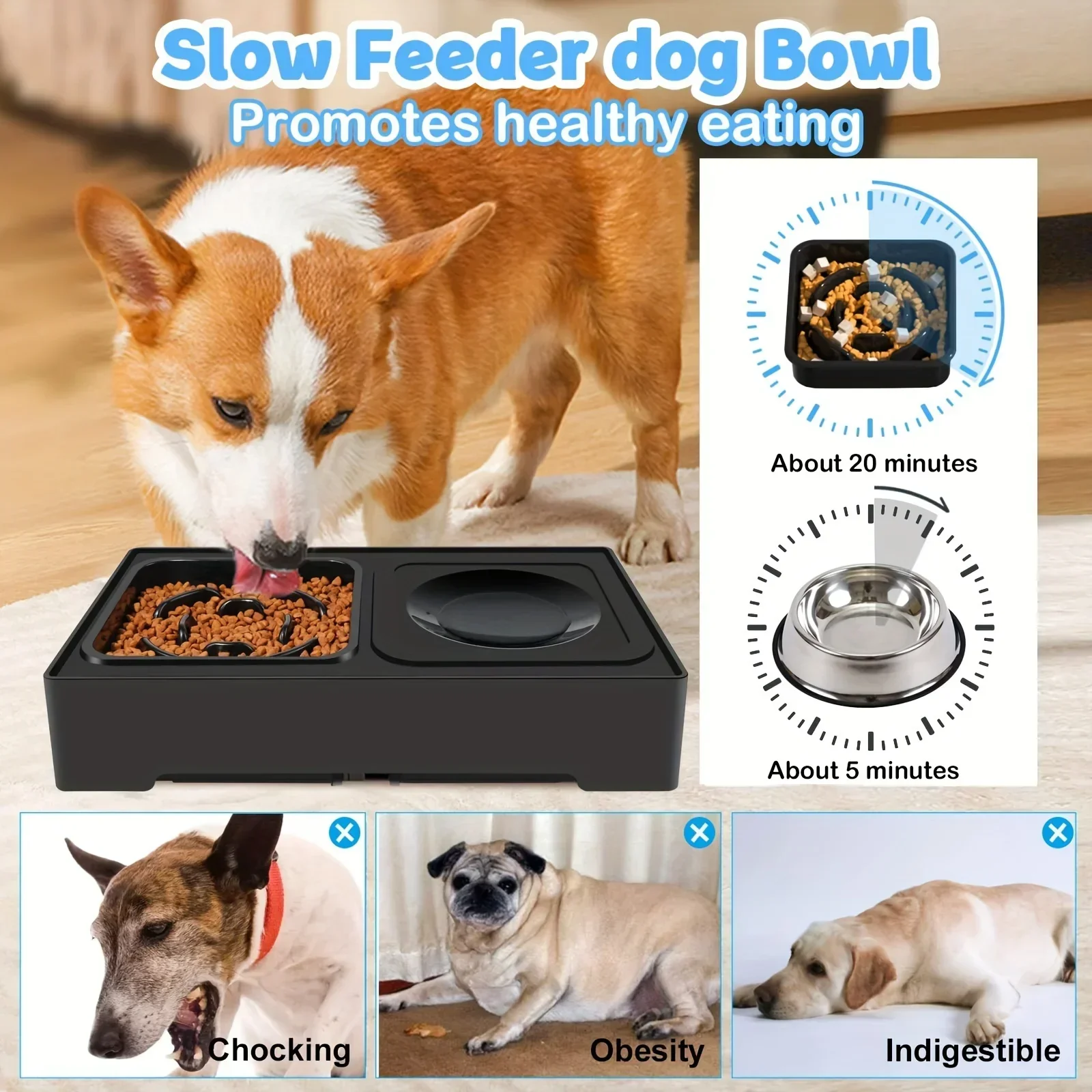 Thumbnail 4 - #19 New Stainless Steel Puppy Bowls Arrivals