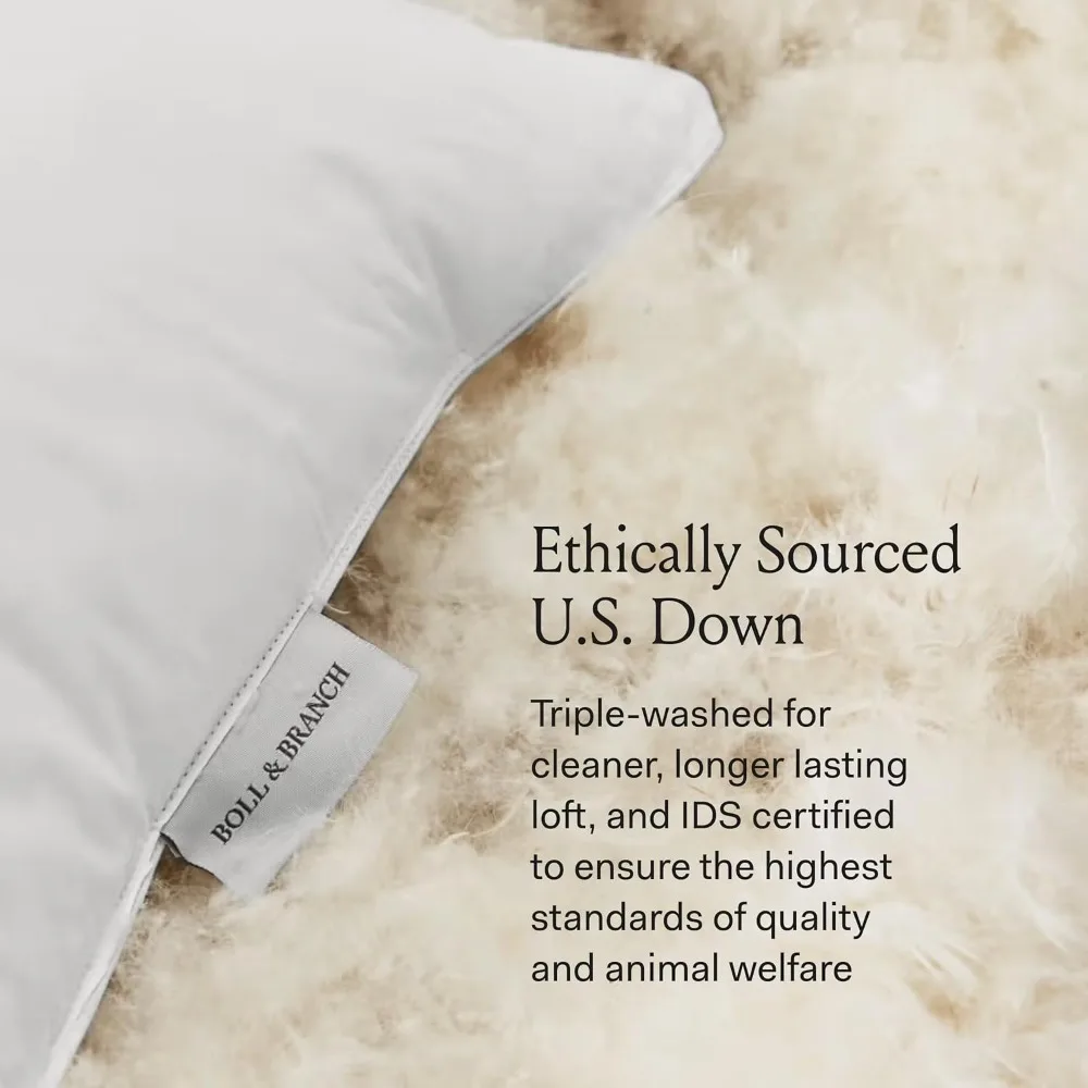 Almofada de câmara Boll & Branch Down – Macio, king size – Refrigeração naturalmente, conforto e suporte premium – sem crueldade