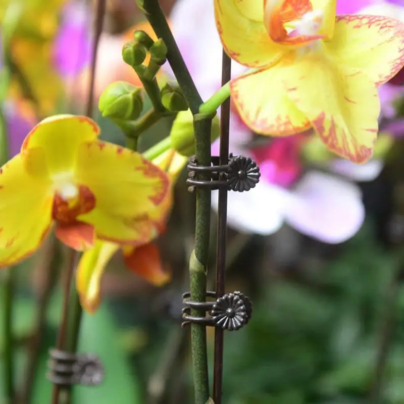 Plant Support Clips Orchid Clips Plant Support Garden Clips 100PCS Stable Trellis Clips For Climbing Plants Grow Upright For