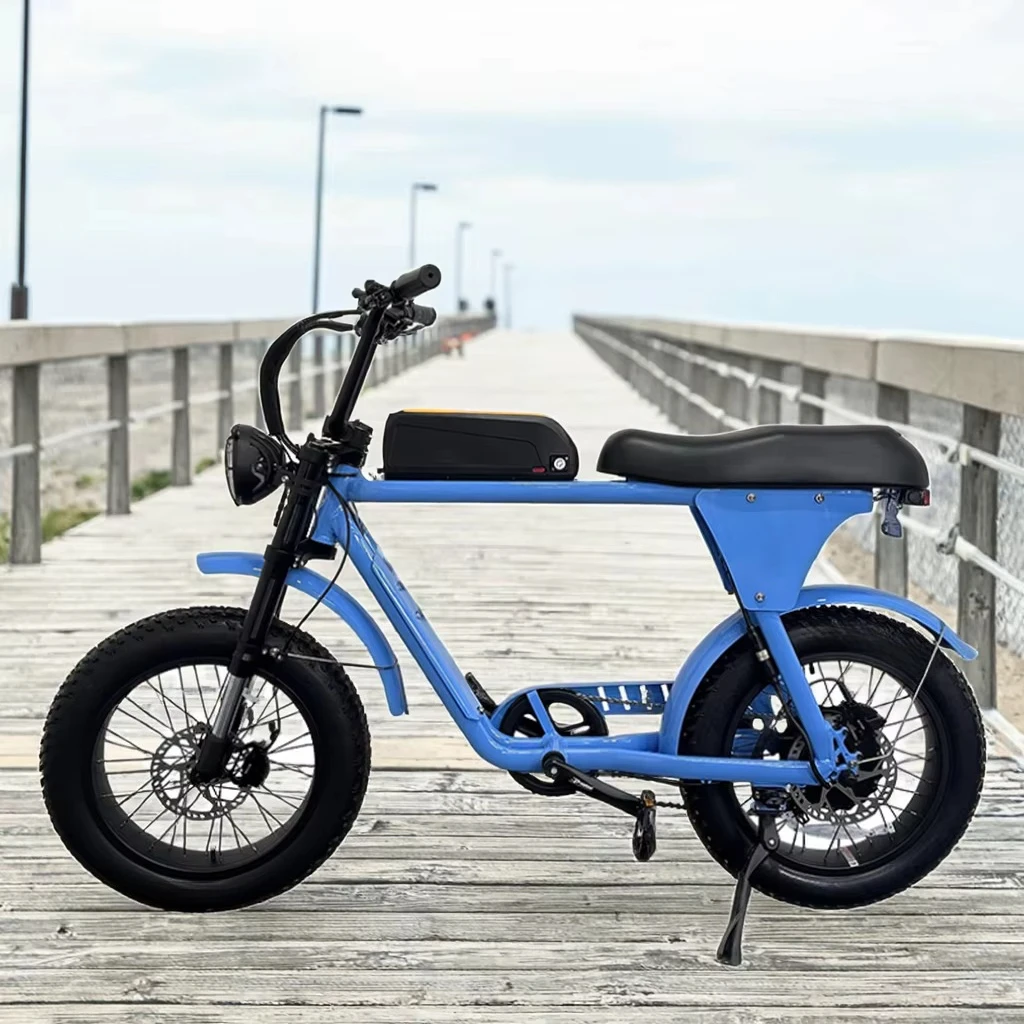 RRE The best-selling OEM ODM Chinese manufacturer of electric bicycles (with hydraulic brakes)